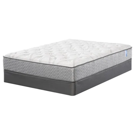 Queen Plush Mattress