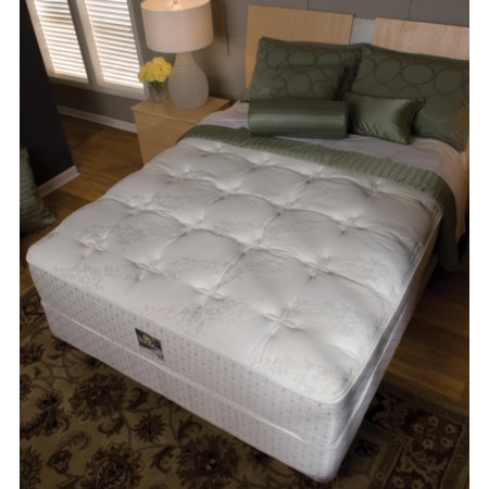 Twin Plush Mattress and Box Spring