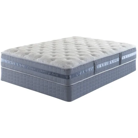 Full Plush Mattress and Motion Essentials Adjustable Base