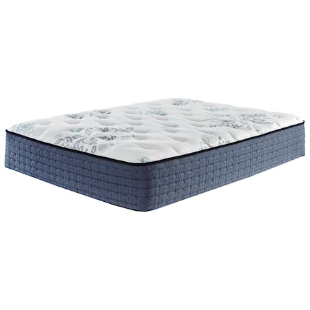 Queen 15 1/2" Plush Pocketed Coil Mattress