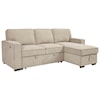 Signature Design by Ashley Darton Sofa Chaise with Pop Up Bed & Storage Chaise