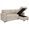 Signature Design by Ashley Darton Sofa Chaise with Pop Up Bed & Storage Chaise