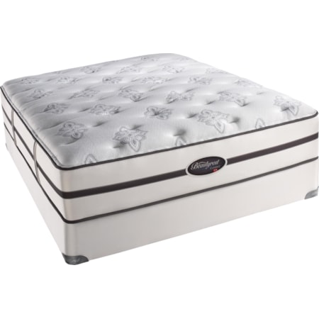Twin Extra Long Plush Firm Mattress and Box Spring