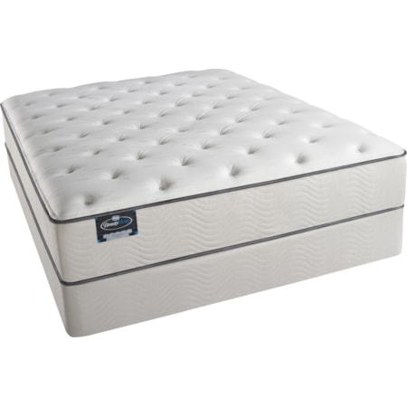 King Plush Mattress and Foundation