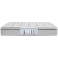 Twin 12" Plush Euro Top Pocketed Coil Mattress