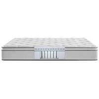Queen 12" Plush Euro Top Pocketed Coil Mattress and E255 Adjustable Base
