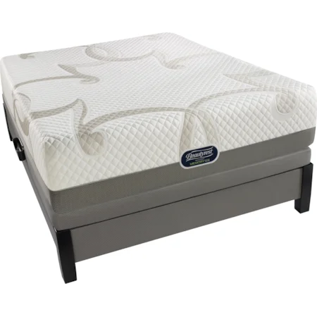 Queen Plush 10 1/2" Memory Foam Mattress and Triton Foundation