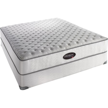 Queen Bancroft Plush Firm Mattress