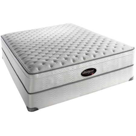 Dianna Queen Plush Firm Euro Top Mattress and Box Spring Set
