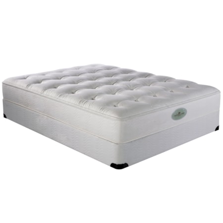 Silver Leaf Euro Top Plush Firm Latex Mattress