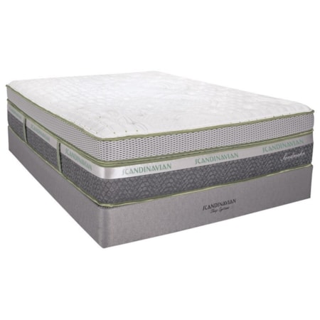 Full 16 1/2" Plush Box Top Mattress Set