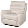 Prime Duval Power Recliner