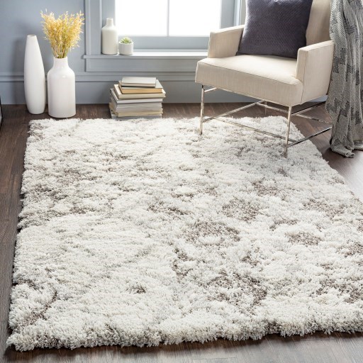 Surya Rugs Alta Shag 2' x 3' Rug