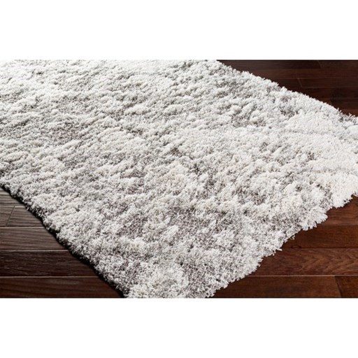 Surya Rugs Alta Shag 2' x 3' Rug