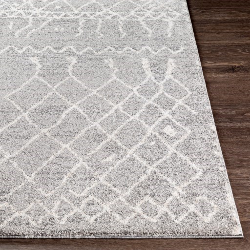Surya Rugs Andorra 2' x 3' Rug