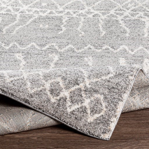 Surya Rugs Andorra 2' x 3' Rug