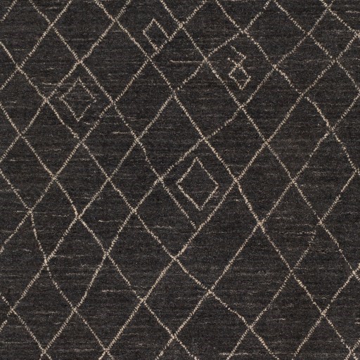 Surya Rugs Arlequin 4' x 6' Rug