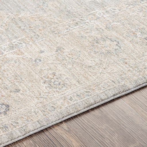Surya Rugs Avant Garde AVT-2304 9' x 12'2" Rug