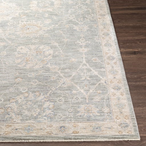 Surya Rugs Avant Garde AVT-2305 2'7" x 4' Rug