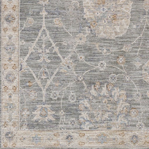 Surya Rugs Avant Garde AVT-2305 2'7" x 4' Rug