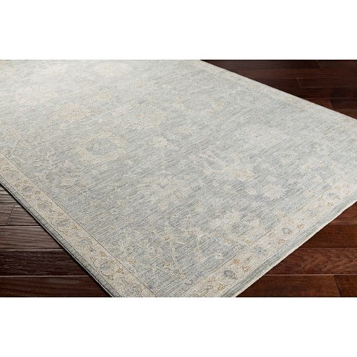 Surya Rugs Avant Garde AVT-2305 2'7" x 4' Rug