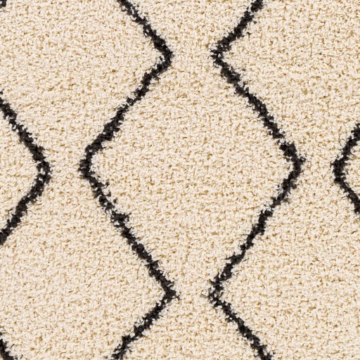 BSH-2302 7'10" x 10' Rug