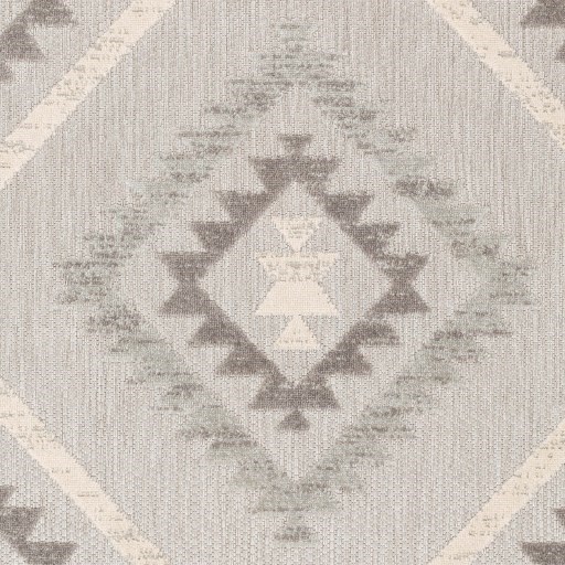 Surya Rugs Big Sur 5'3" x 7'3" Rug