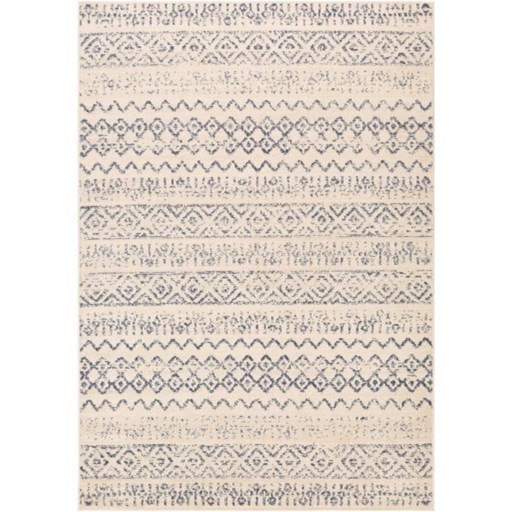 8'10" x 12' Rug