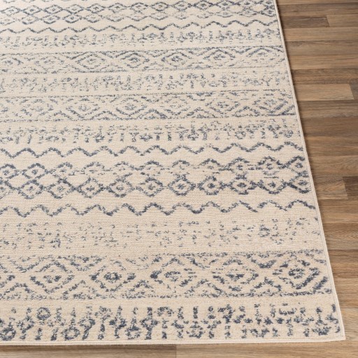 8'10" x 12' Rug