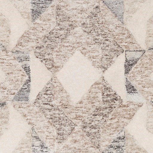 Surya Rugs Falcon 4' x 6' Rug