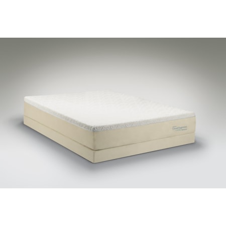 Queen Soft Mattress and Ecru Low Profile Foundation