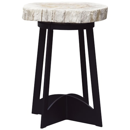 Petrified Wood End Table