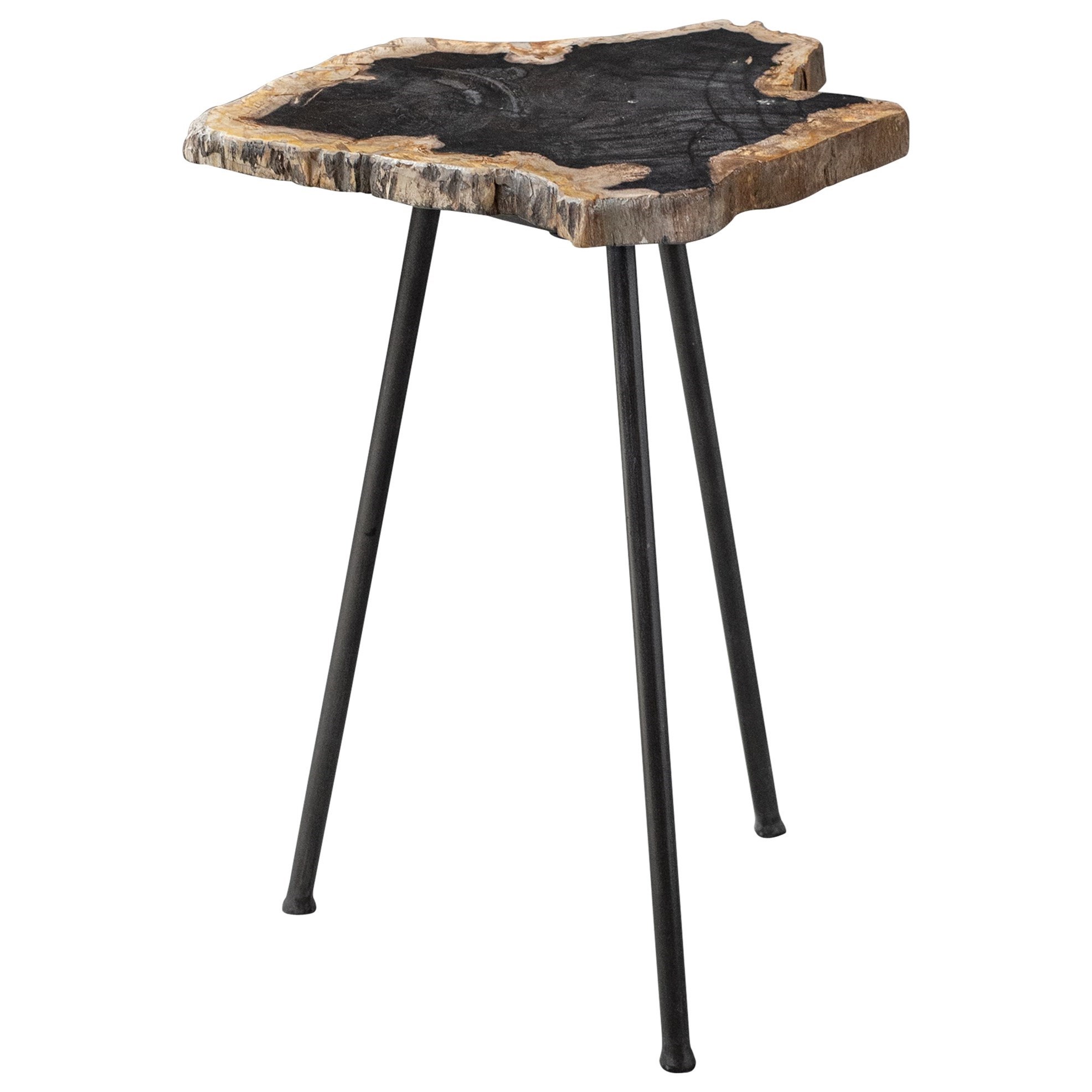 Mircea Petrified Wood Accent Table