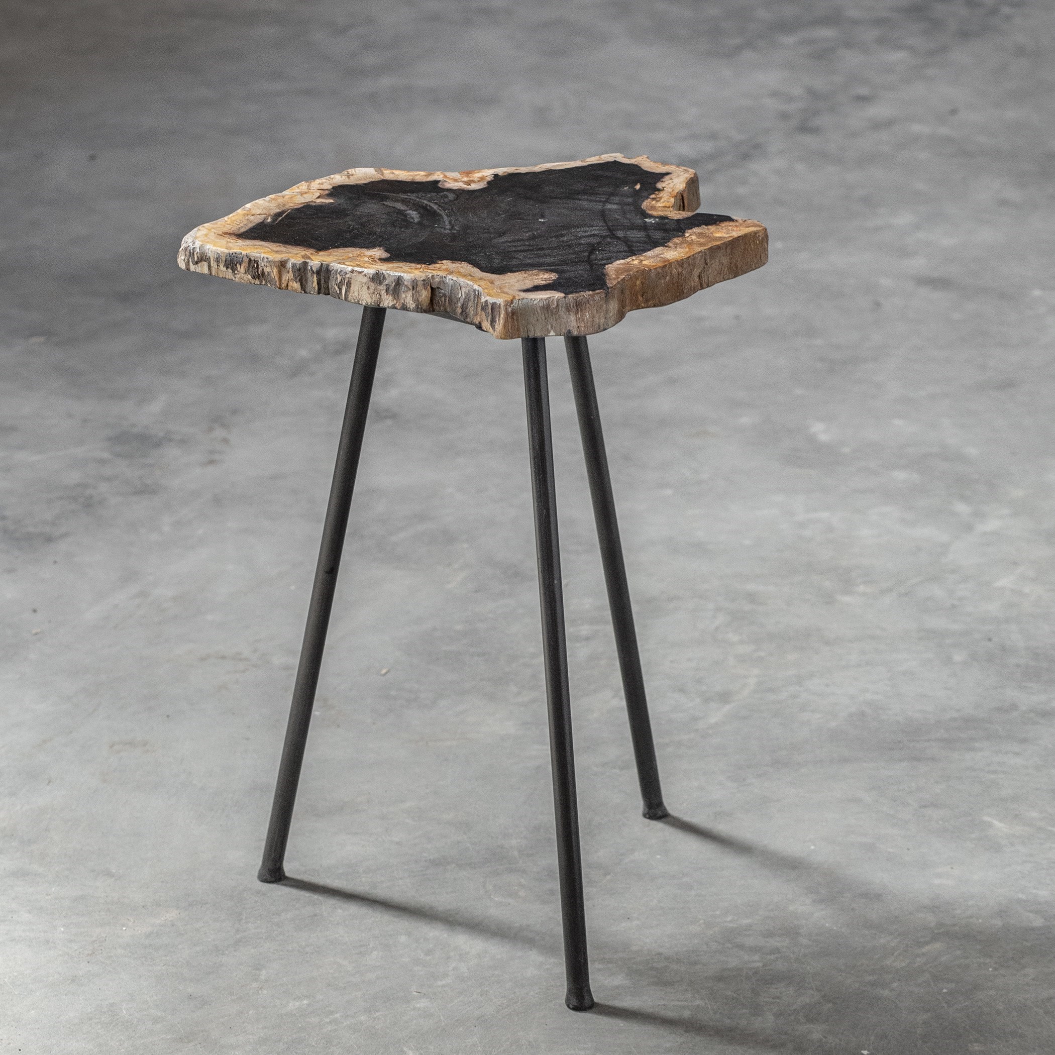 Mircea Petrified Wood Accent Table