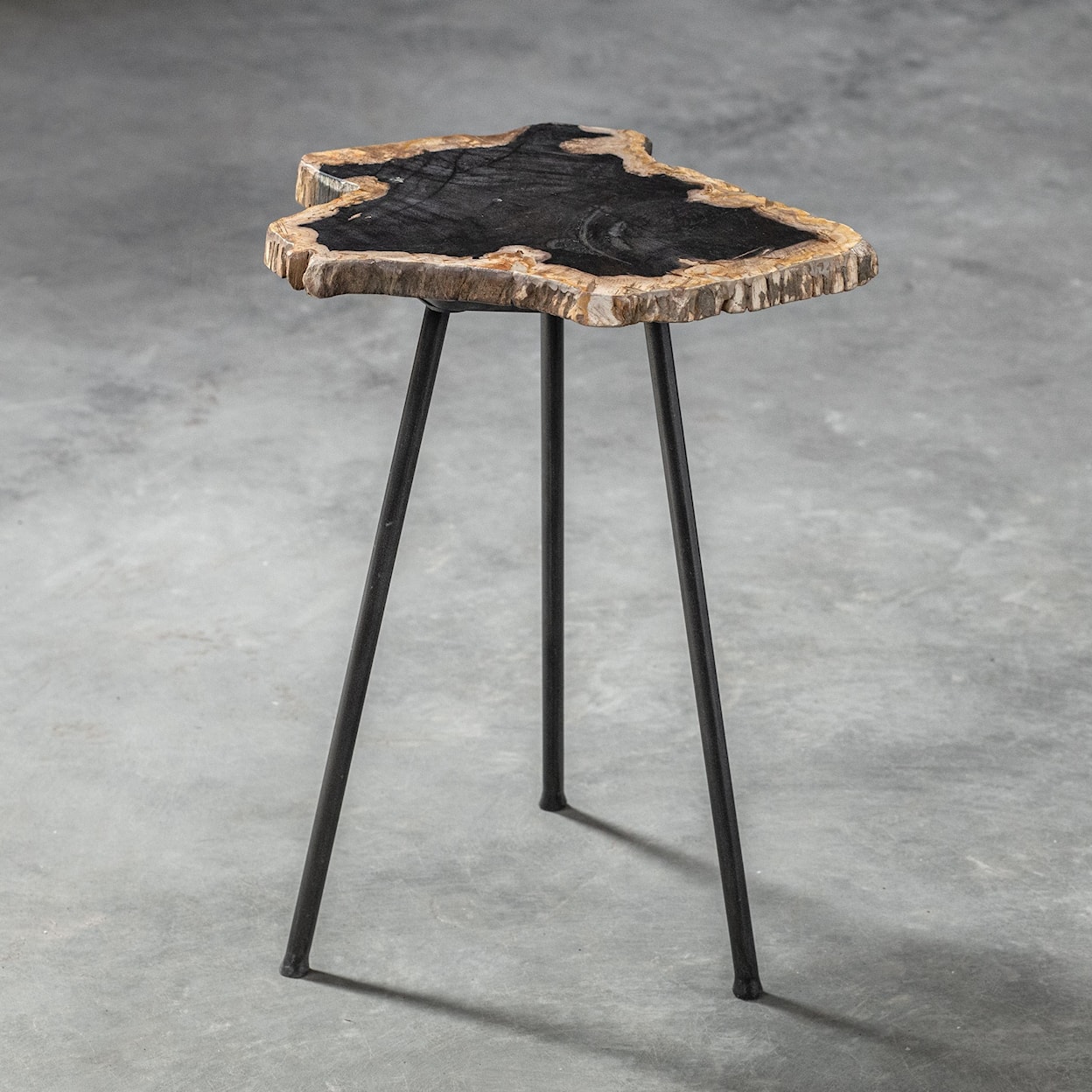 Uttermost Accent Furniture - Occasional Tables Mircea Petrified Wood Accent Table