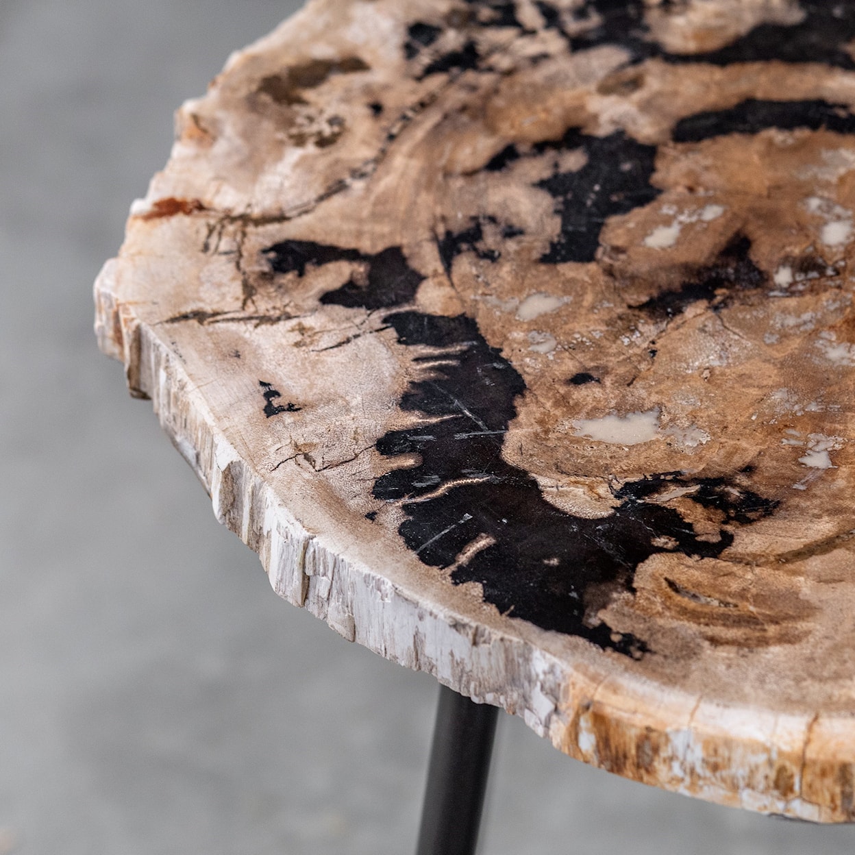 Uttermost Accent Furniture - Occasional Tables Mircea Petrified Wood Accent Table