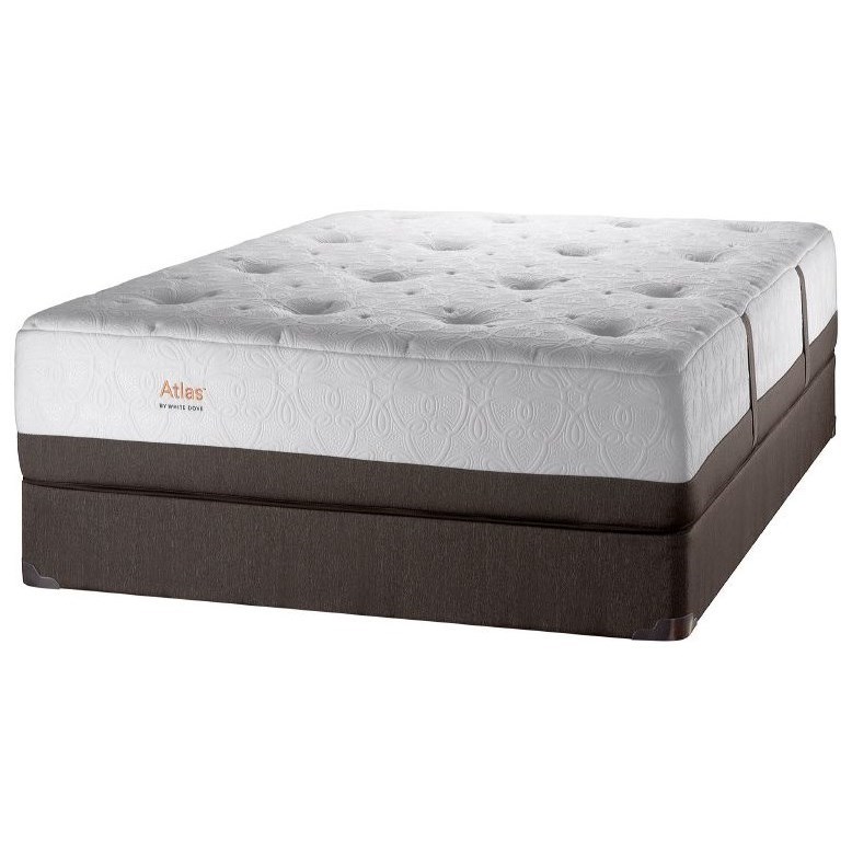 Twin Plush Pocketed Coil Mattress Set