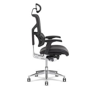 X Chair HomeWorld Oahu Maui Big Island Hawaii