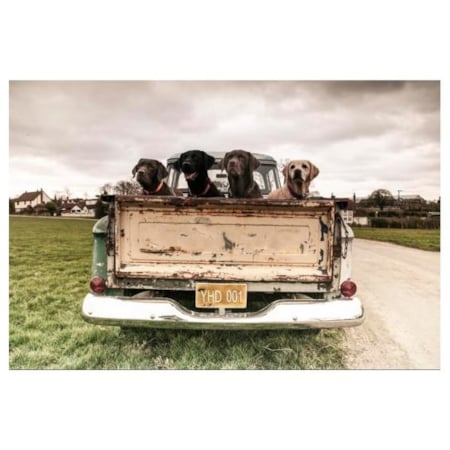 Walker's Furniture Inc fleet