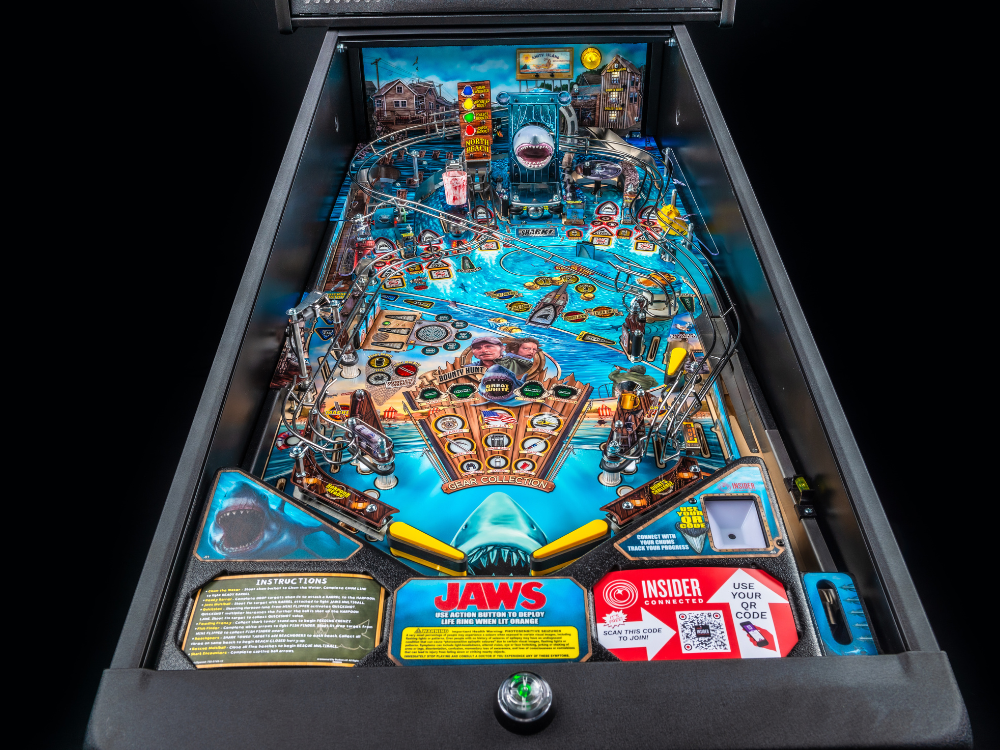 Electronic Gaming