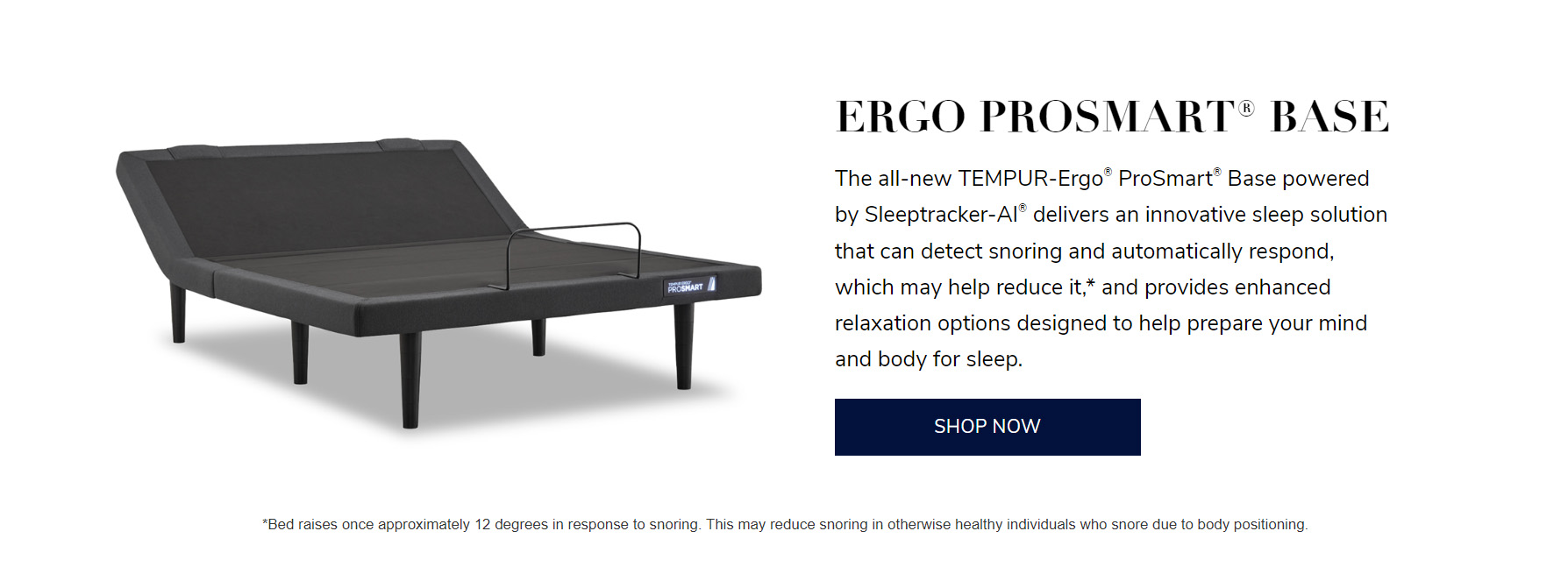 Ergo Prosmart Base