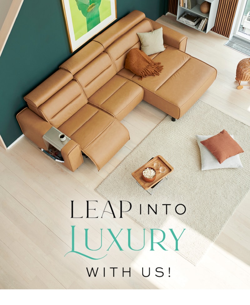 Leap into Luxury with Us!