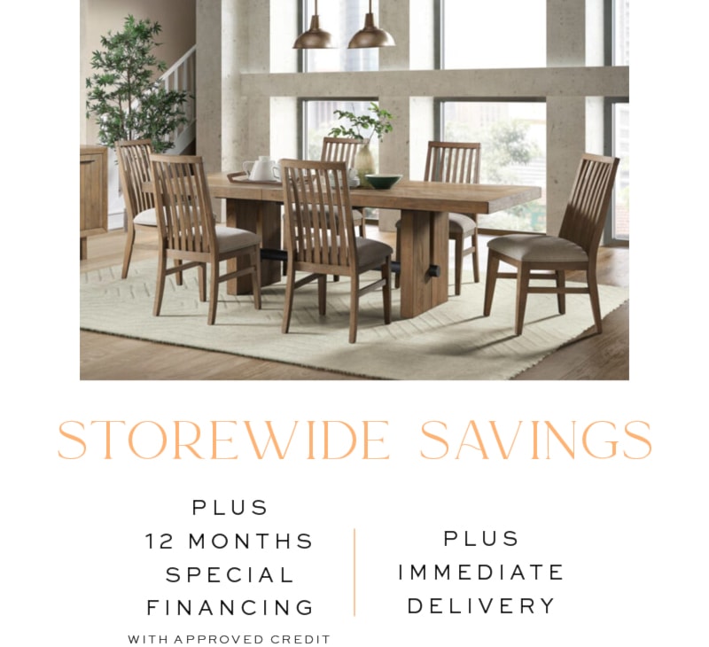 Storewide Savings Plus 12 Months Special Financing With Approved Credit Plus Immediate Delivery