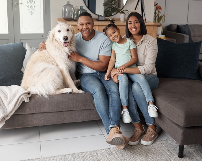 Dog family sofa