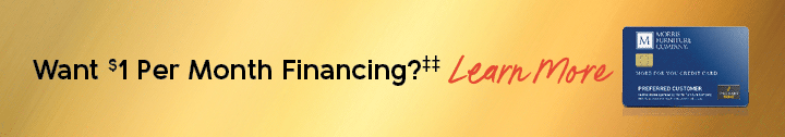 $1 per Month Financing