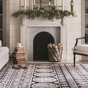 Nov. 2018 - Darvin® Furniture Rug Specialists Help Customers Find Perfect Area Rugs