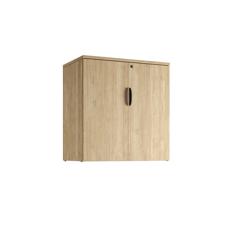 Storage Cabinet