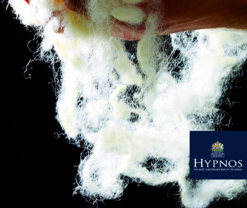 Hypnos