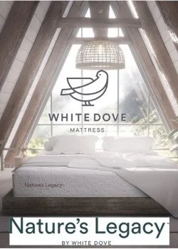 white dove