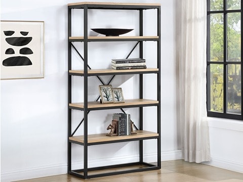 Singular wooden bookcase with added decor.